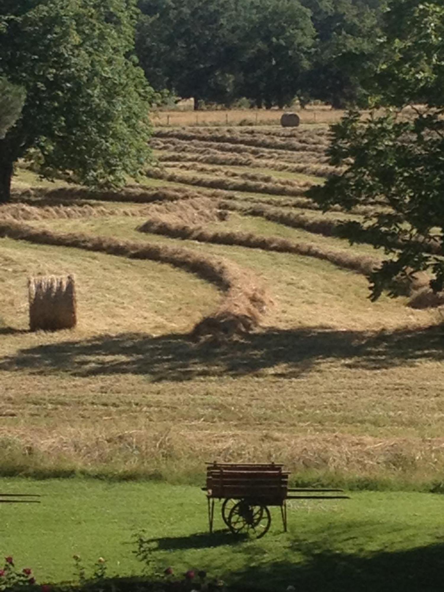 Domaine Du Buc, Le Chateau Marssac-sur-Tarn Eksteriør bilde